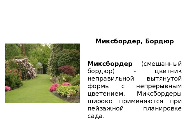 Миксбордер, Бордюр  Миксбордер (смешанный бордюр) - цветник неправильной вытянутой формы с непрерывным цветением. Миксбордеры широко применяются при пейзажной планировке сада. 
