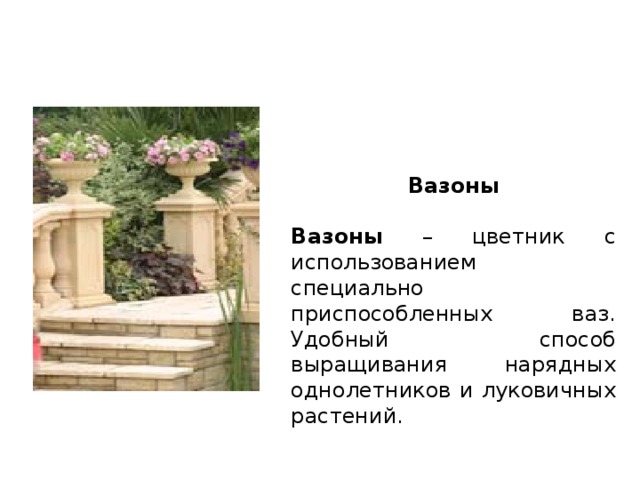 Вазоны  Вазоны – цветник с использованием специально приспособленных ваз. Удобный способ выращивания нарядных однолетников и луковичных растений. 