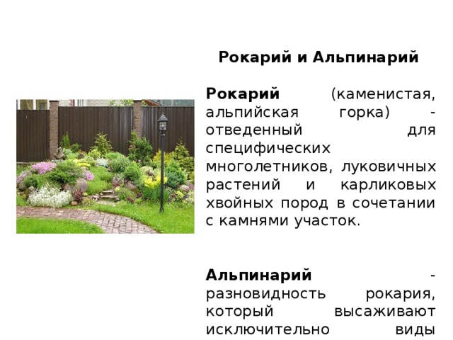 Рокарий и Альпинарий  Рокарий (каменистая, альпийская горка) - отведенный для специфических многолетников, луковичных растений и карликовых хвойных пород в сочетании с камнями участок. Альпинарий - разновидность рокария, который высаживают исключительно виды альпийской флоры.  