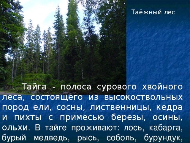 Презентация для урока окружающего мира по теме" Мой край -Югра" - начальные клас