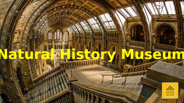 Natural History Museum 
