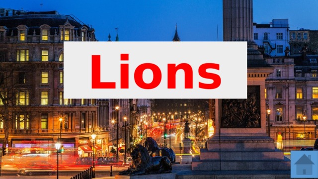 Lions 