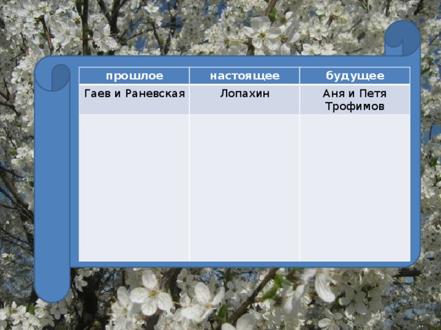 Почему раневская и гаев не принимают лопахинский проект