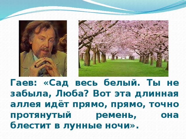 Гаев:  «Сад весь белый. Ты не забыла, Люба? Вот эта длинная аллея идёт прямо, прямо, точно протянутый ремень, она блестит в лунные ночи».