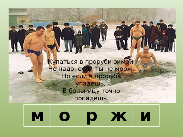 Купаться в проруби зимой Не надо, если ты не морж. Но если в прорубь упадёшь, В больницу точно попадёшь. м о р ж и 