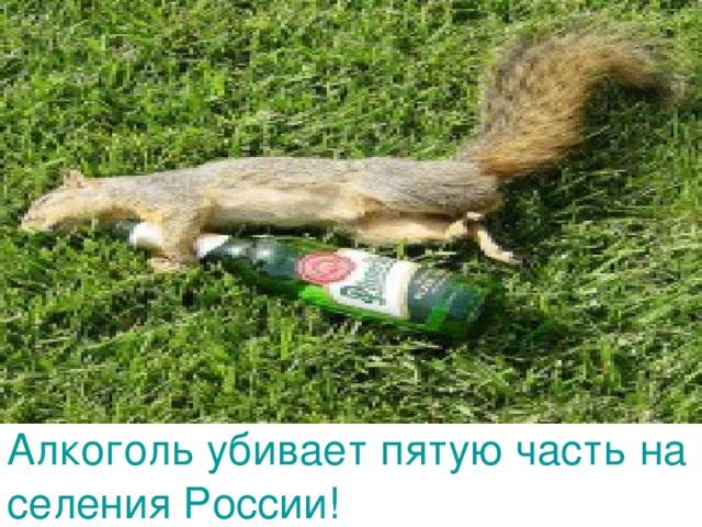 Алкоголь убивает пятую часть населения России! 