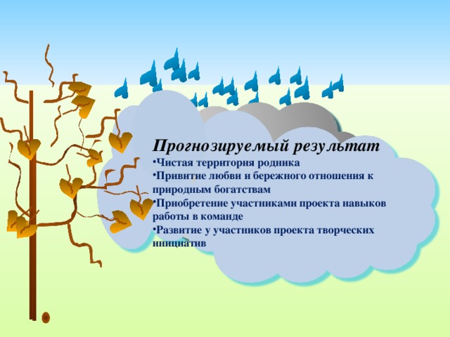 Прогнозируемый результат Чистая территория родника Привитие любви и бережного отношения к природным богатствам Приобретение участниками проекта навыков работы в команде Развитие у участников проекта творческих инициатив 