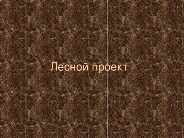 Лесной проект 