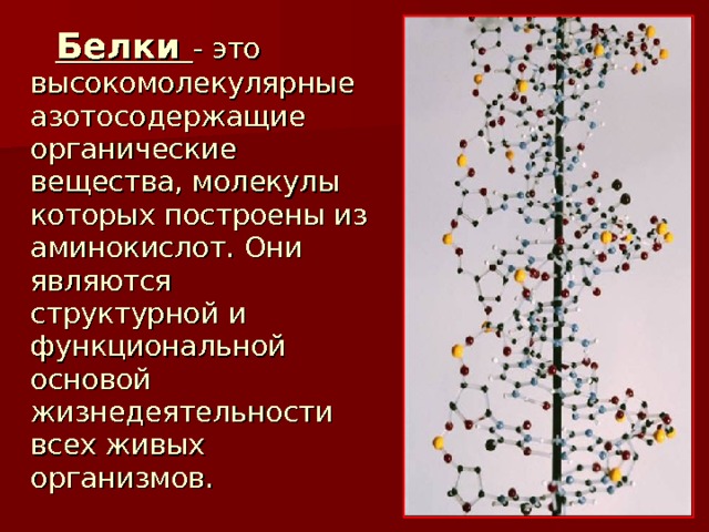  Белки - это высокомолекулярные азотосодержащие органические вещества, молекулы которых построены из аминокислот. Они являются структурной и функциональной основой жизнедеятельности всех живых организмов. 