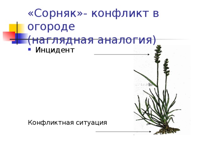 «Сорняк»- конфликт в огороде  (наглядная аналогия) Инцидент       Конфликтная ситуация 