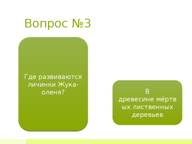 Вопрос №3 Где развиваются личинки Жука-оленя? В древесине мёртвых лиственных деревьев 