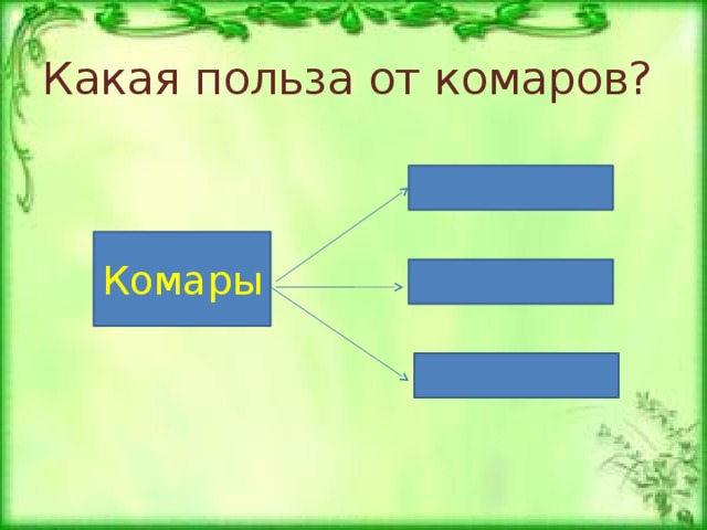 Какая польза от комаров? Комары 