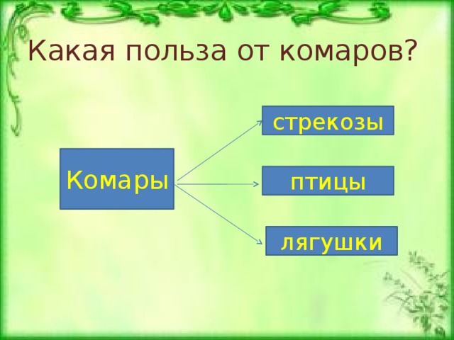 Какая польза от комаров? стрекозы Комары птицы лягушки 