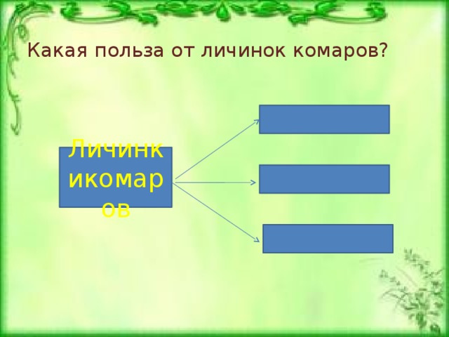 Какая польза от личинок комаров? Личинкикомаров 