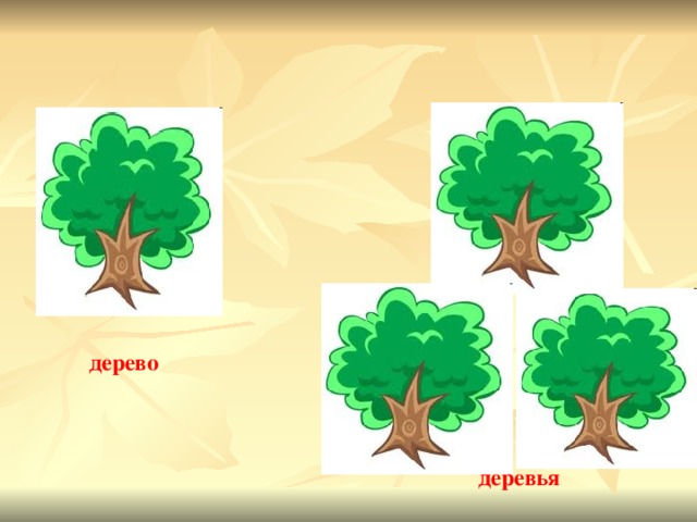 дерево деревья 