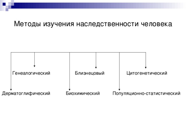 Методы изучения наследственности человека  Генеалогический Близнецовый Цитогенетический Дерматоглифический Биохимический Популяционно-статистический