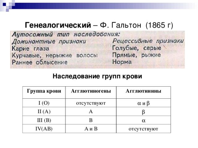 Генеалогический – Ф. Гальтон (1865 г) Наследование групп крови Группа крови I (О) Агглютиногены Агглютинины отсутствуют II (А) III (В)   и  А IV(АВ)  В  А и В отсутствуют