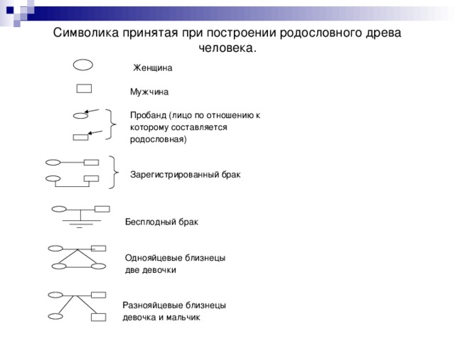 Символика принятая при построении родословного древа человека.  Женщина  Мужчина  Пробанд (лицо по отношению к  которому составляется  родословная)  Зарегистрированный брак  Бесплодный брак  Однояйцевые близнецы  две девочки  Разнояйцевые близнецы  девочка и мальчик