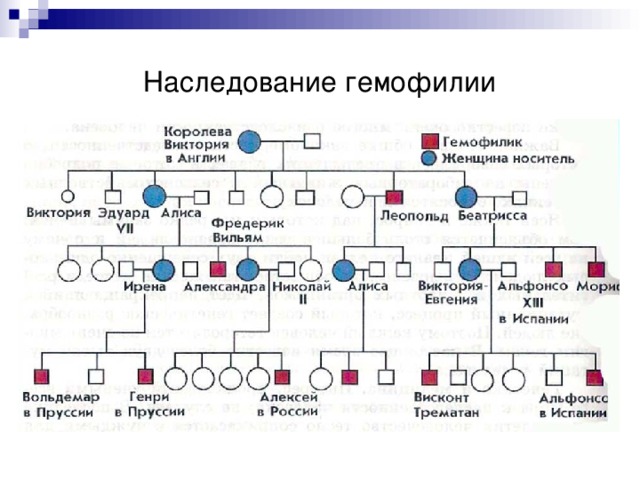 Наследование гемофилии