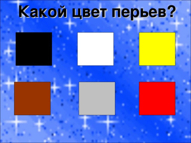 Какой цвет перьев? 