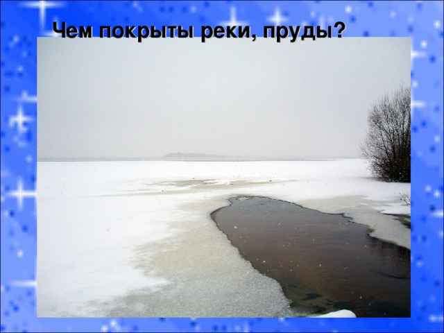Чем покрыты реки, пруды? 