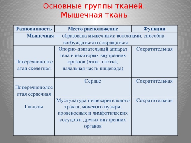 Основные группы тканей. Мышечная ткань Разновидность Место расположение Мышечная  — образована мышечными волокнами, способна возбуждаться и сокращаться Функции  Поперечнополосатая скелетная Опорно-двигательный аппарат тела и некоторых внутренних органов (язык, глотка, начальная часть пищевода) Сократительная Сердце Поперечнополосатая сердечная Сократительная Гладкая Мускулатура пищеварительного тракта, мочевого пузыря, кровеносных и лимфатических сосудов и других внутренних органов Сократительная 