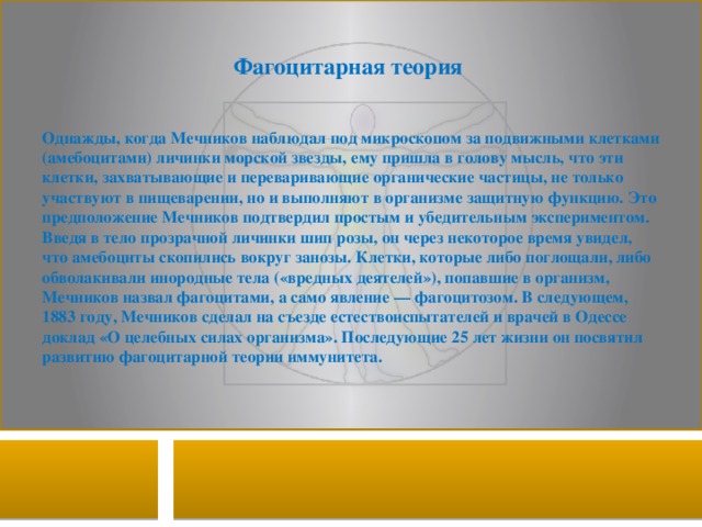 Фагоцитарная теория Однажды, когда Мечников наблюдал под микроскопом за подвижными клетками (амебоцитами) личинки морской звезды, ему пришла в голову мысль, что эти клетки, захватывающие и переваривающие органические частицы, не только участвуют в пищеварении, но и выполняют в организме защитную функцию. Это предположение Мечников подтвердил простым и убедительным экспериментом. Введя в тело прозрачной личинки шип розы, он через некоторое время увидел, что амебоциты скопились вокруг занозы. Клетки, которые либо поглощали, либо обволакивали инородные тела («вредных деятелей»), попавшие в организм, Мечников назвал фагоцитами, а само явление — фагоцитозом. В следующем, 1883 году, Мечников сделал на съезде естествоиспытателей и врачей в Одессе доклад «О целебных силах организма». Последующие 25 лет жизни он посвятил развитию фагоцитарной теории иммунитета. 