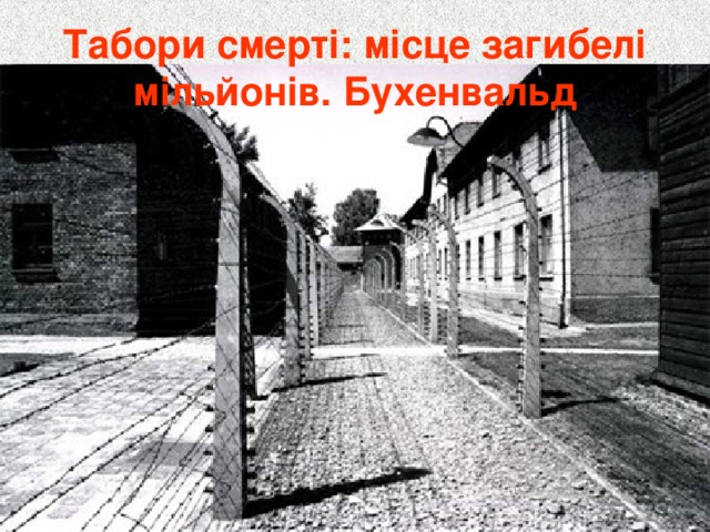 Табори смерті: місце загибелі мільйонів. Бухенвальд 