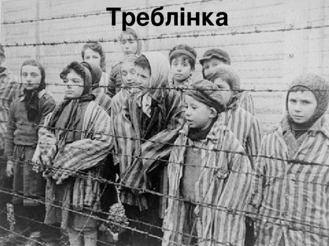 Треблінка 