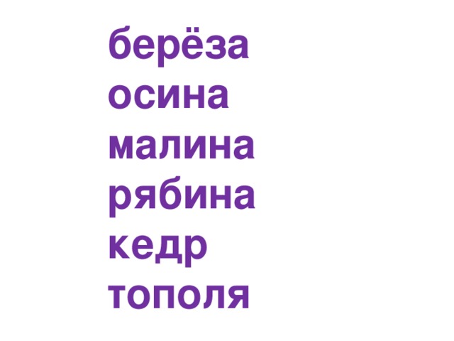 берёза осина малина рябина кедр тополя