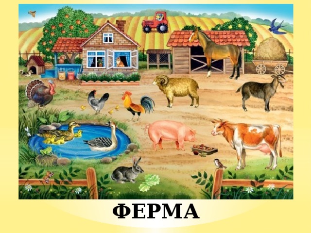 ФЕРМА 