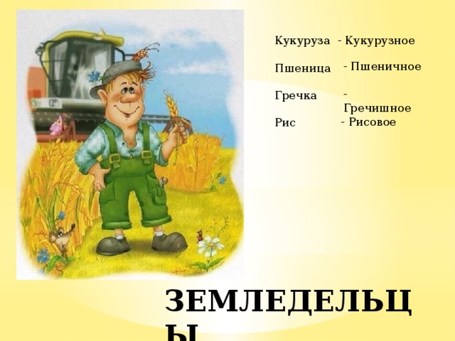 Кукуруза - Кукурузное Пшеница Гречка Рис - Пшеничное - Гречишное - Рисовое ЗЕМЛЕДЕЛЬЦЫ 