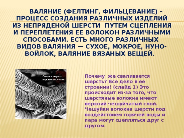  Валяние (фелтинг, фильцевание) – процесс создания различных изделий из непряденой шерсти путем сцепления и переплетения ее волокон различными способами. Есть много различных видов валяния — сухое, мокрое, нуно-войлок, валяние вязаных вещей.   Почему же сваливается шерсть? Все дело в ее строении! (слайд 1) Это происходит из-за того, что шерстяные волокна имеют верхний чешуйчатый слой. Чешуйки волокна шерсти под воздействием горячей воды и пара могут сцепляться друг с другом. 