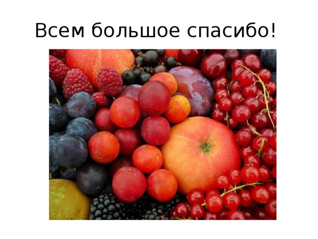 Всем большое спасибо! 
