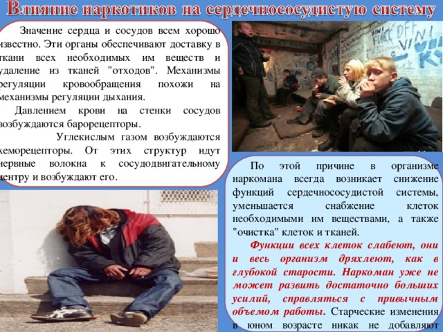  Значение сердца и сосудов всем хорошо известно. Эти органы обеспечивают доставку в ткани всех необходимых им веществ и удаление из тканей 