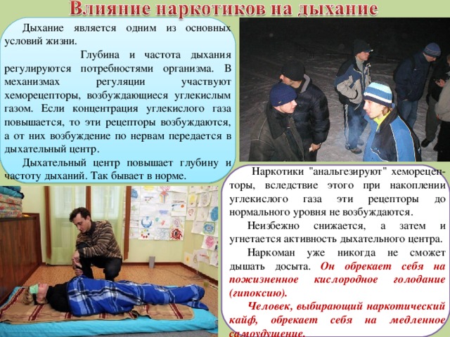 Дыхание является одним из основных условий жизни.  Глубина и частота дыхания регулируются потребностями организма. В механизмах регуляции участвуют хеморецепторы, возбуждающиеся углекислым газом. Если концентрация углекислого газа повышается, то эти рецепторы возбуждаются, а от них возбуждение по нервам передается в дыхательный центр. Дыхательный центр повышает глубину и частоту дыханий. Так бывает в норме.  Наркотики 