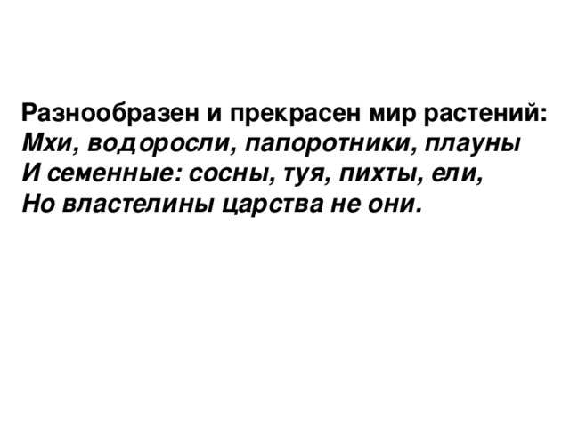 Разнообразен и прекрасен мир растений: Мхи, водоросли, папоротники, плауны И семенные: сосны, туя, пихты, ели, Но властелины царства не они.