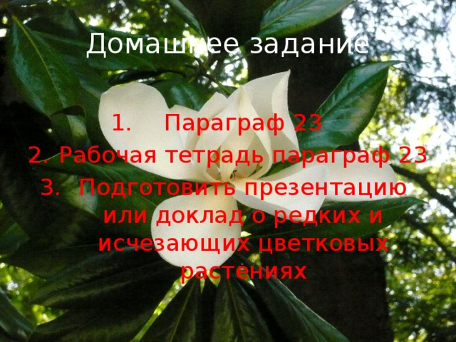 Домашнее задание