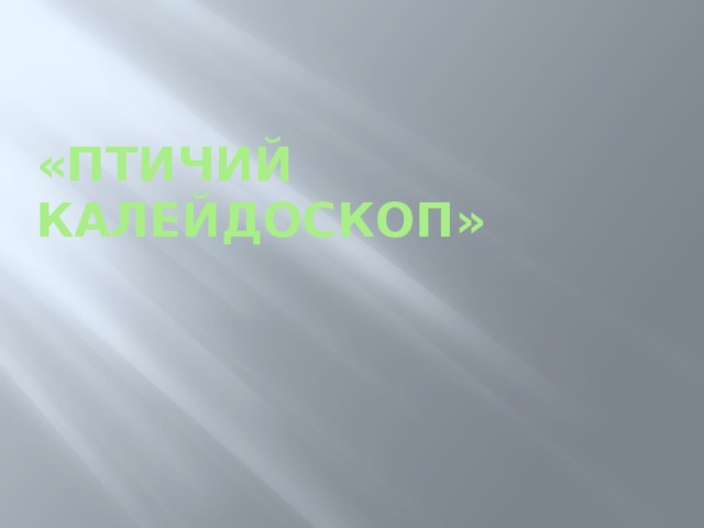 «Птичий калейдоскоп» 