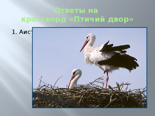 Ответы на  кроссворд «Птичий двор» 1. Аист 