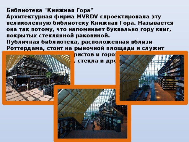 Библиотека 