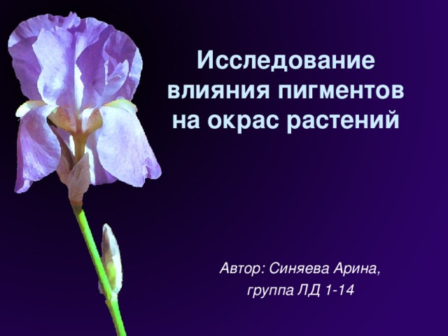 Исследование влияния пигментов на окрас растений      Автор: Синяева Арина, группа ЛД 1-14   