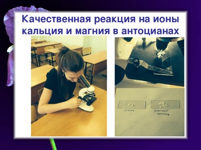 Качественная реакция на ионы кальция и магния в антоцианах 