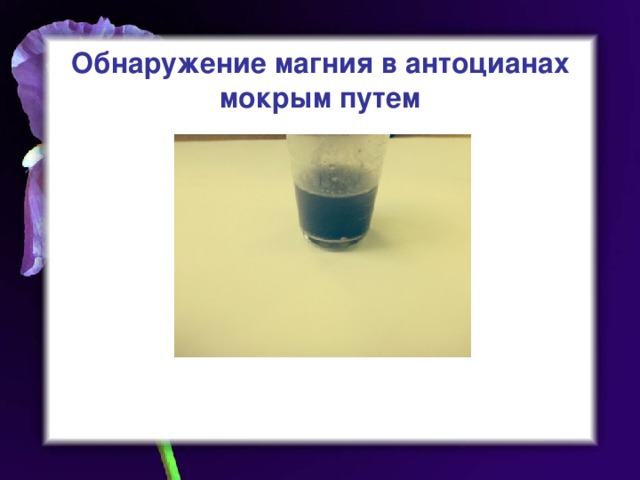  Обнаружение магния в антоцианах  мокрым путем 