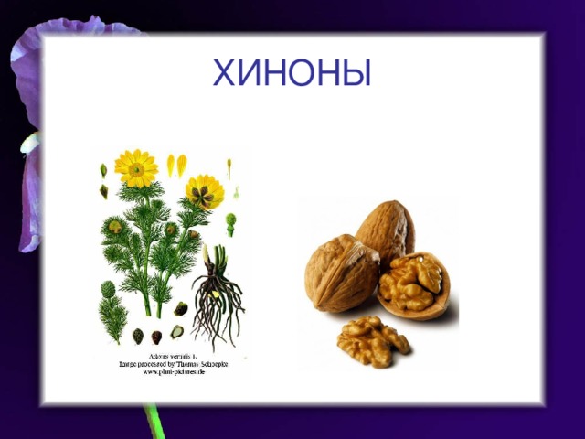 ХИНОНЫ 