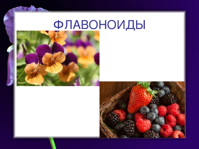 ФЛАВОНОИДЫ 
