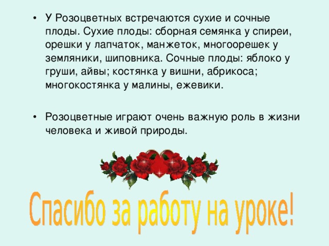 Курсовая работа по теме Изучение растительности семейства розоцветных г. Славянска-на-Кубани