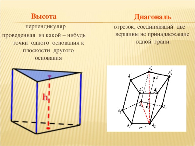 Высота   перпендикуляр проведенная из какой – нибудь точки одного основания к плоскости другого основания  Диагональ   отрезок, соединяющий две вершины не принадлежащие одной грани.