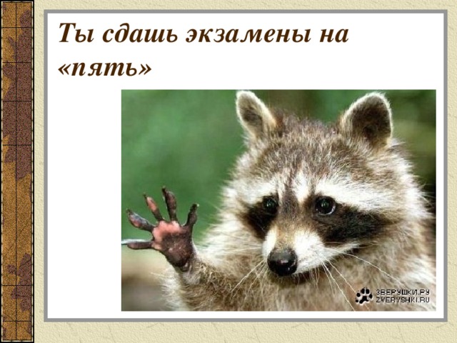 Ты сдашь экзамены на «пять» 