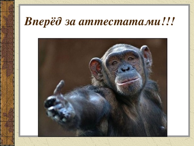 Вперёд за аттестатами!!! 
